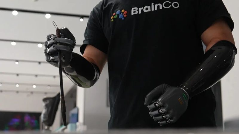 人工智能应用指南：知乎上的真实评价与行业洞察